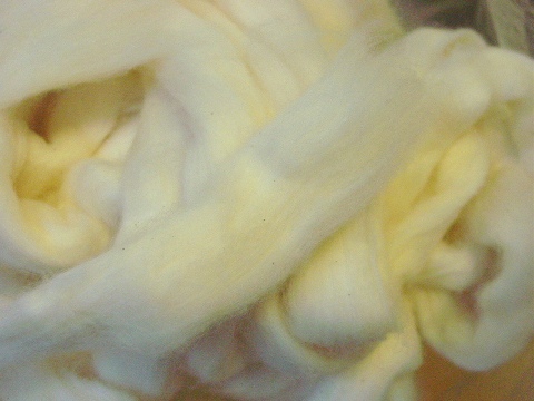 アジア綿のスライバー